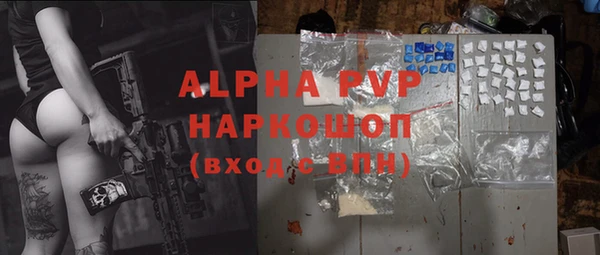 молекула духа Гусев