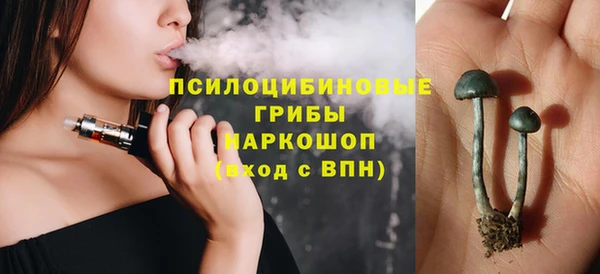 молекула духа Гусев