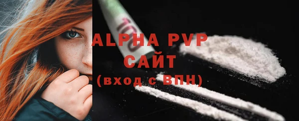 молекула духа Гусев