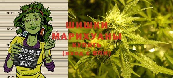круглые Гусиноозёрск