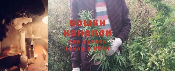 молекула духа Гусев