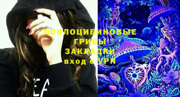 молекула духа Гусев