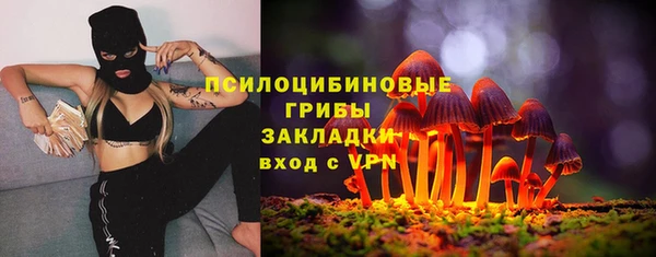 круглые Гусиноозёрск