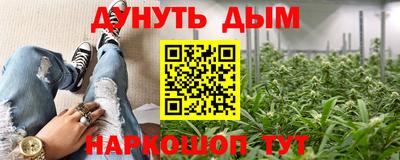 молекула духа Владивосток