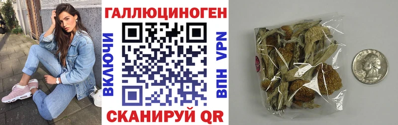 Псилоцибиновые грибы Magic Shrooms  это клад  Заринск  наркотики 