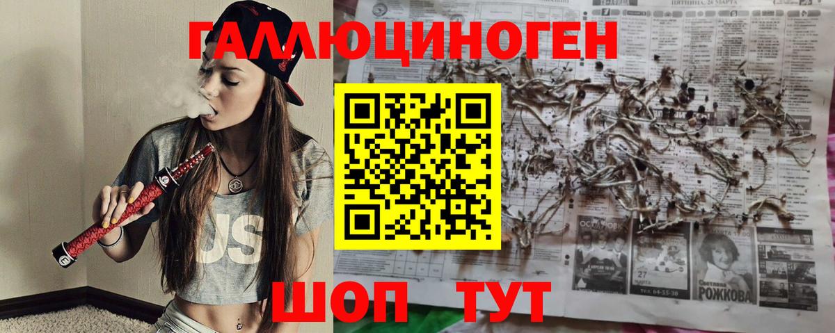 Галлюциногенные грибы MAGIC MUSHROOMS  Псилоцибиновые грибы Magic Shrooms  Заринск  Вход с VPN 