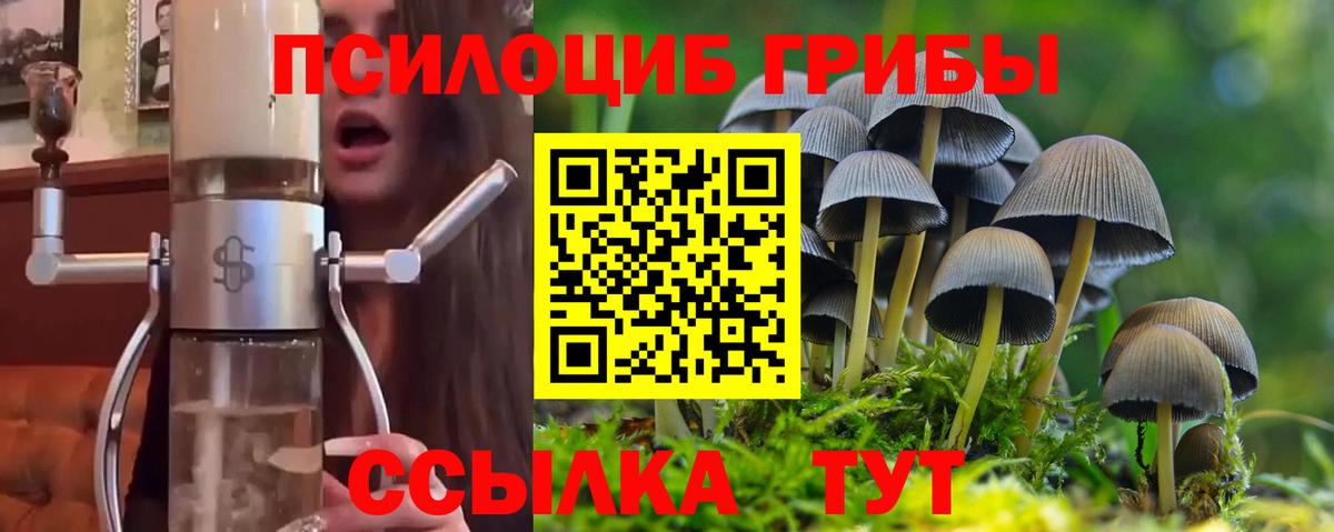 Галлюциногенные грибы Magic Shrooms Заринск