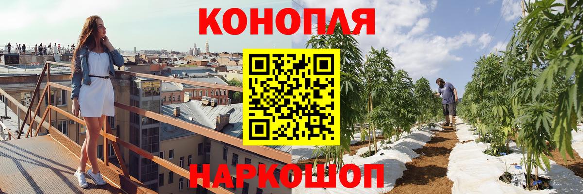 Конопля Bruce Banner  Вход с VPN  Заринск  Бошки Шишки конопля  Канабис сатива 